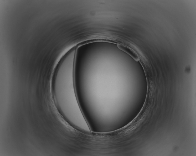 X0000090420788200707130945