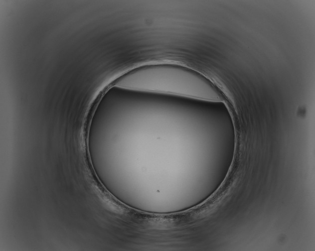 X0000090420789200707130945