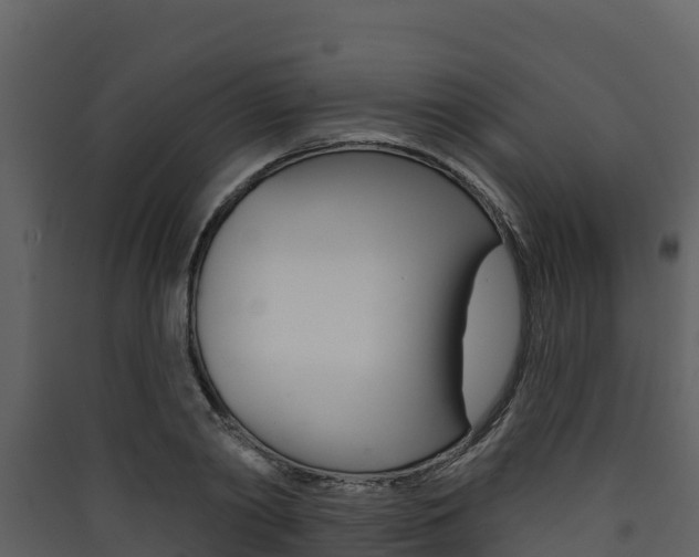 X0000090420790200707130945