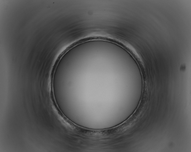 X0000090420791200707130945