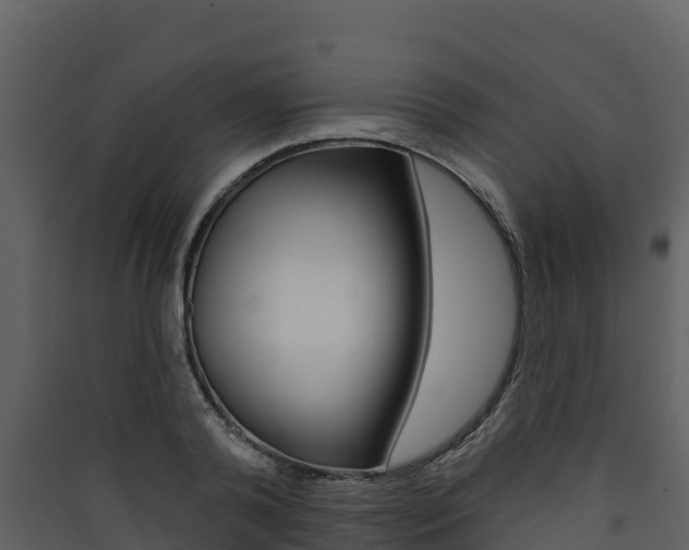 X0000090420792200707130945