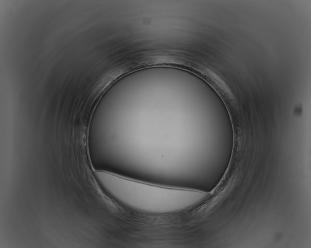 X0000090420793200707130945