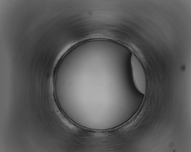 X0000090420796200707130945