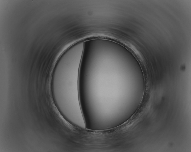 X0000090420799200707130945