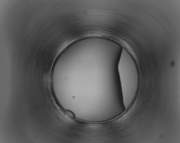 X0000090420802200707130945