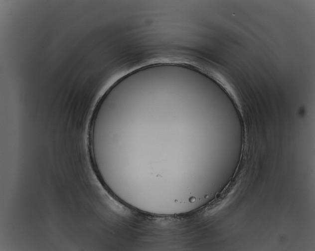 X0000090420803200707130945