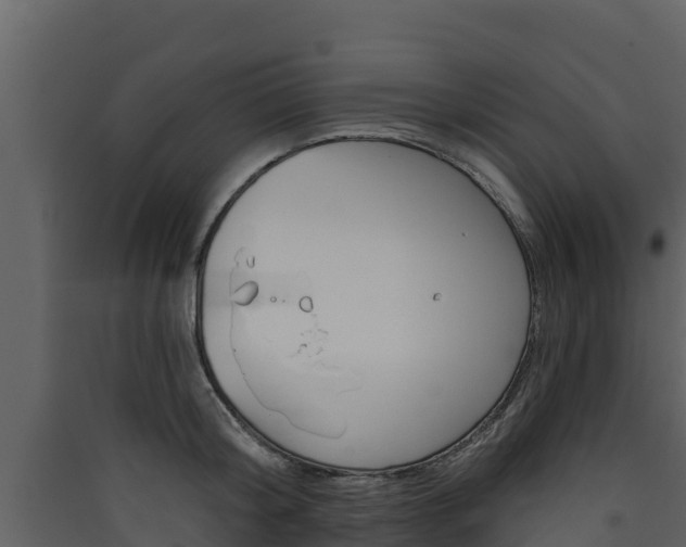 X0000090420804200707130945