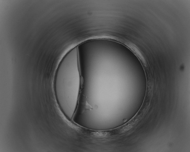 X0000090420805200707130945