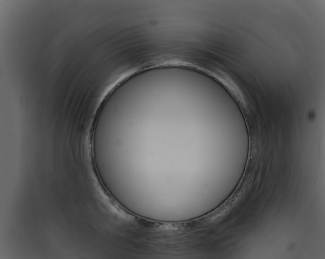 X0000090420806200707130945