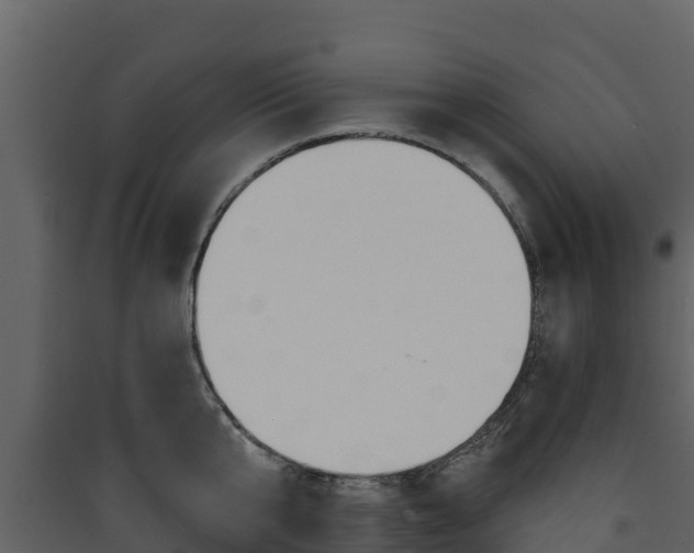 X0000090420807200707130945