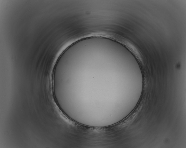 X0000090420808200707130945