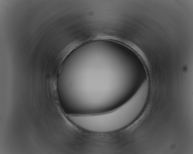 X0000090420809200707130945