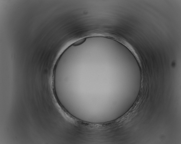 X0000090420811200707130945