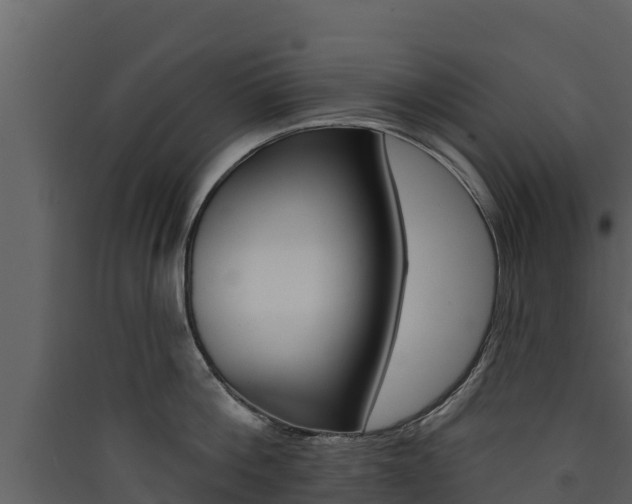 X0000090420812200707130945