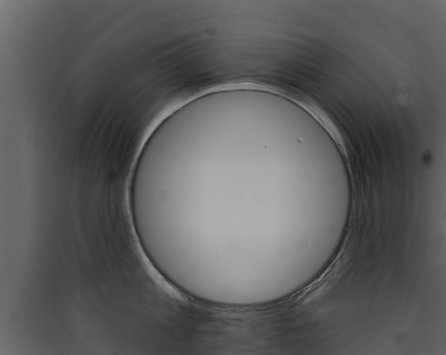 X0000090420813200707130945