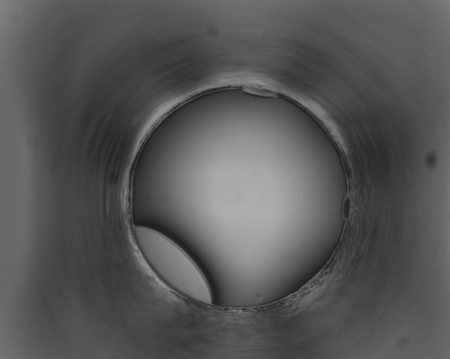 X0000090420815200707130945