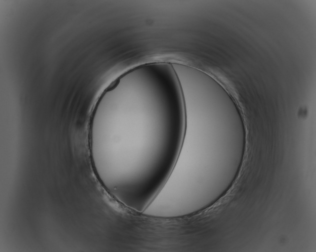 X0000090420816200707130945