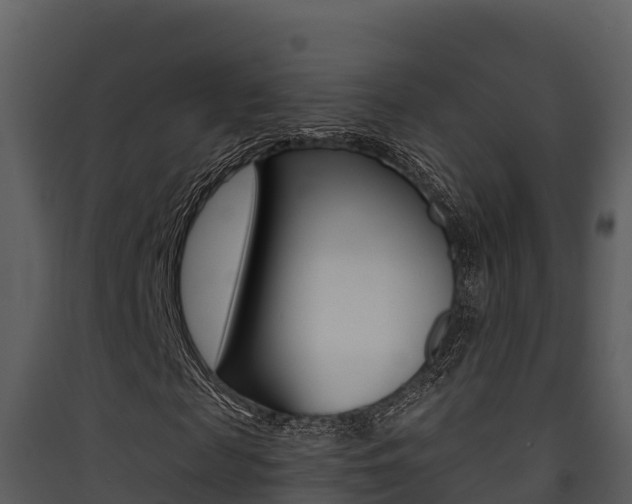 X0000090420817200707130944