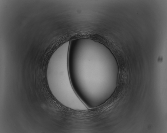 X0000090420818200707130945