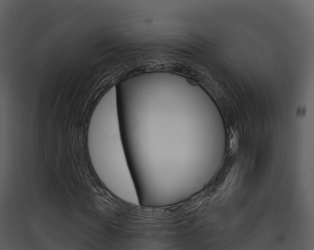 X0000090420819200707130945