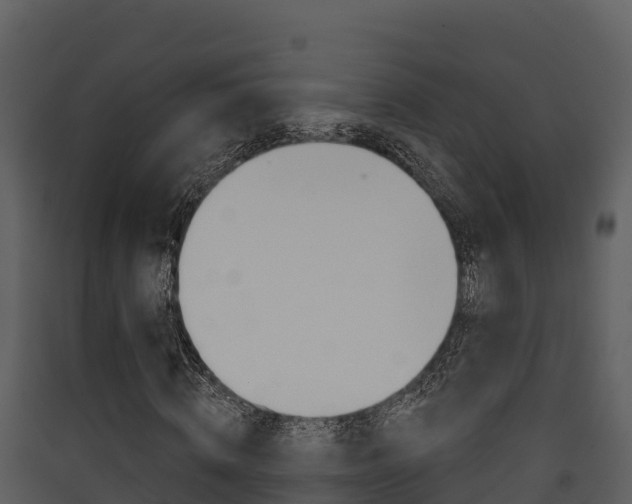 X0000090420820200707130945