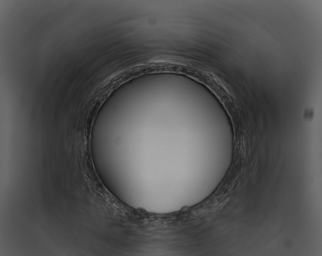 X0000090420821200707130945