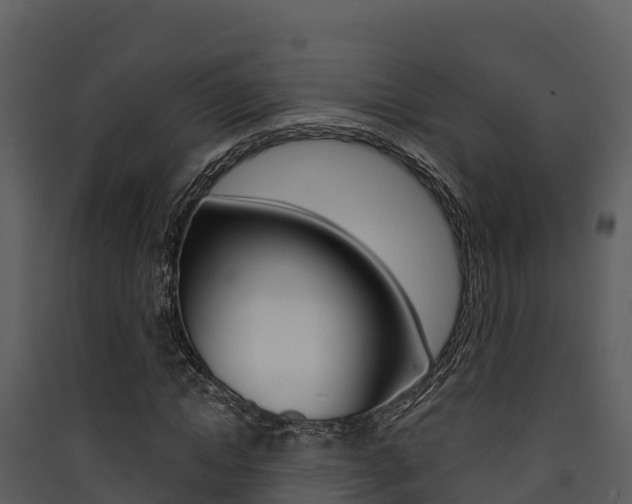 X0000090420822200707130945