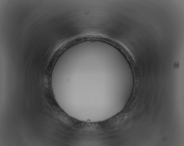 X0000090420823200707130945