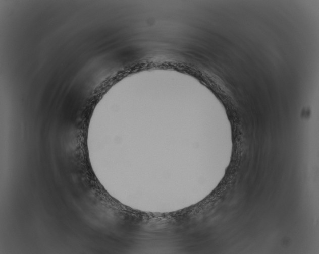 X0000090420824200707130945