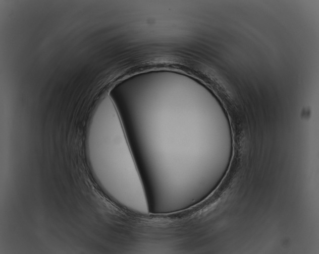 X0000090420825200707130945