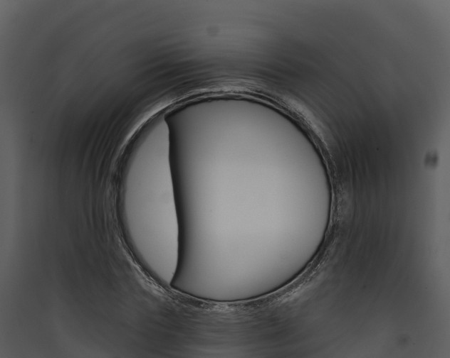 X0000090420827200707130945