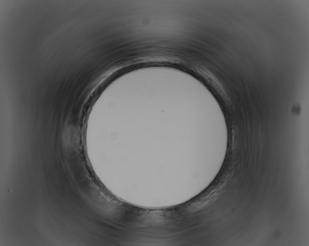 X0000090420828200707130945