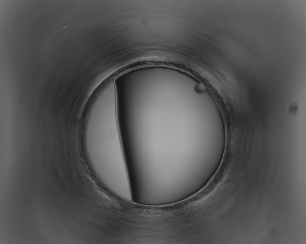 X0000090420829200707130945
