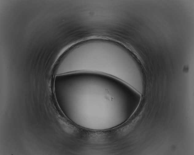 X0000090420830200707130945