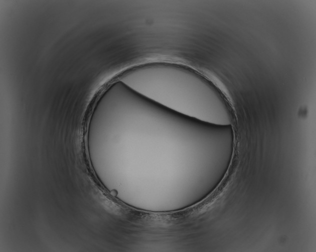 X0000090420831200707130945