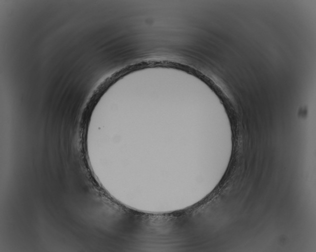 X0000090420832200707130945