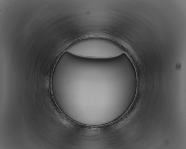 X0000090420833200707130945