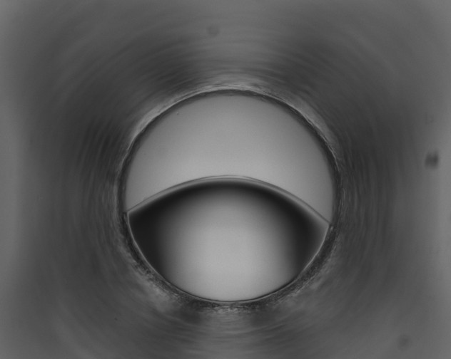 X0000090420834200707130945
