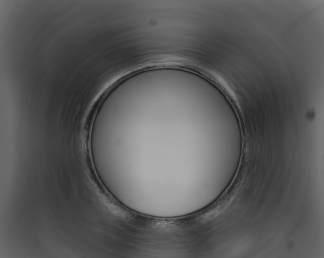 X0000090420835200707130945