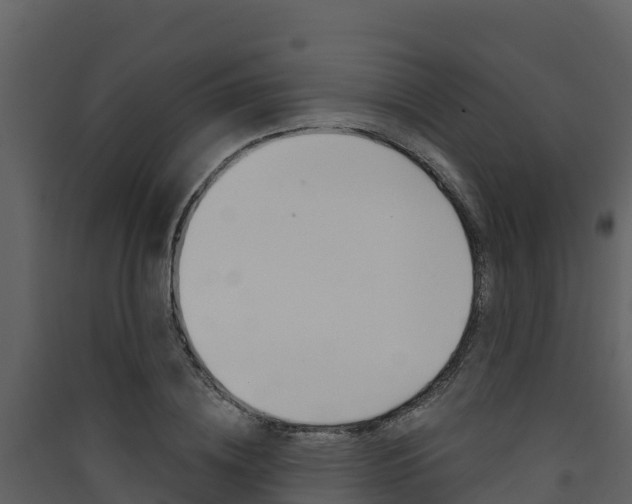 X0000090420836200707130945