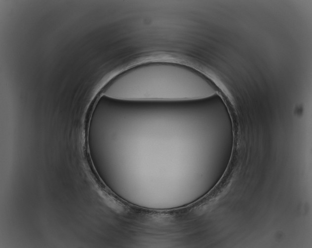X0000090420837200707130945