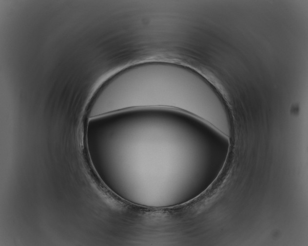 X0000090420838200707130945