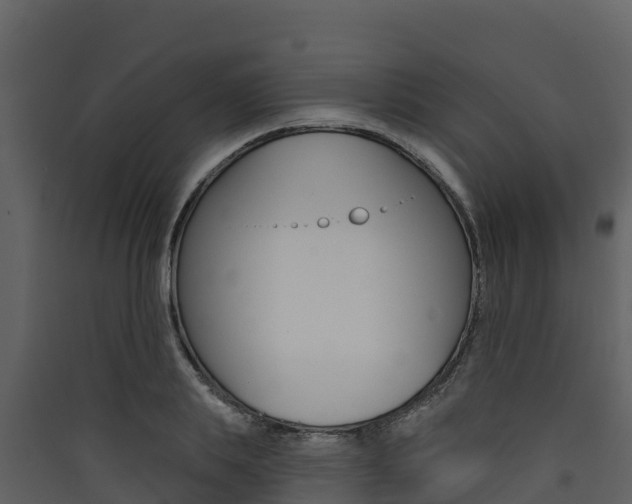 X0000090420839200707130945