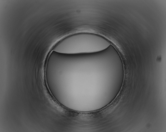 X0000090420840200707130945