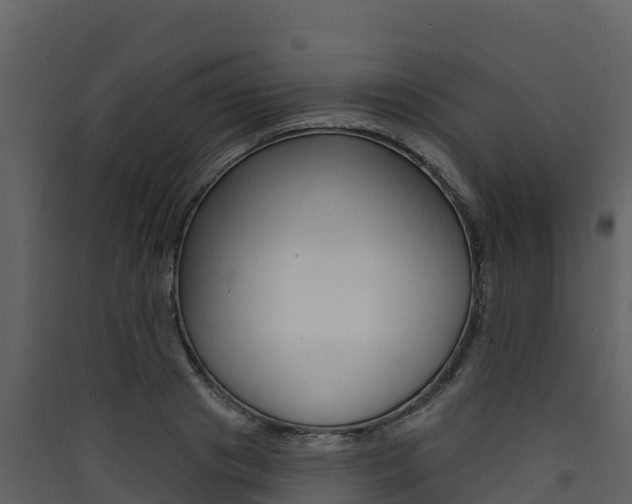 X0000090420841200707130945