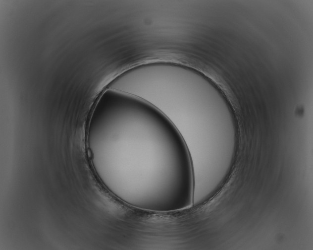 X0000090420842200707130945