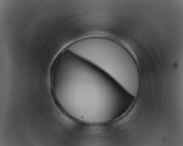 X0000090420843200707130945