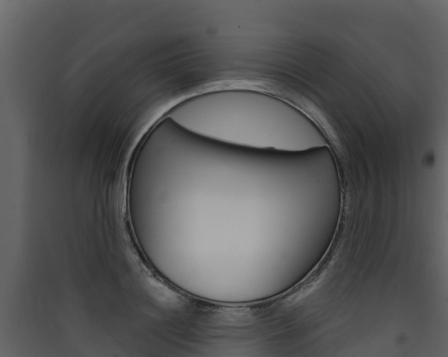 X0000090420844200707130945