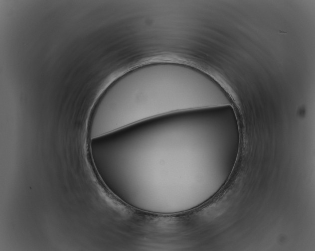 X0000090420845200707130945