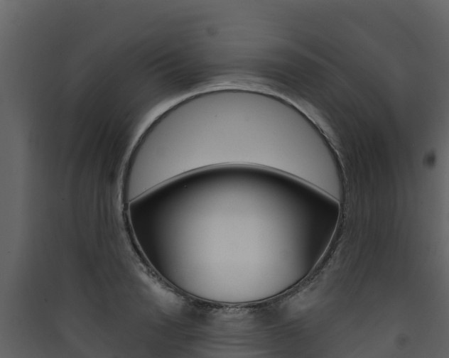 X0000090420846200707130945